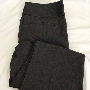 Express Editor Bootcut Gray Dress Pants
